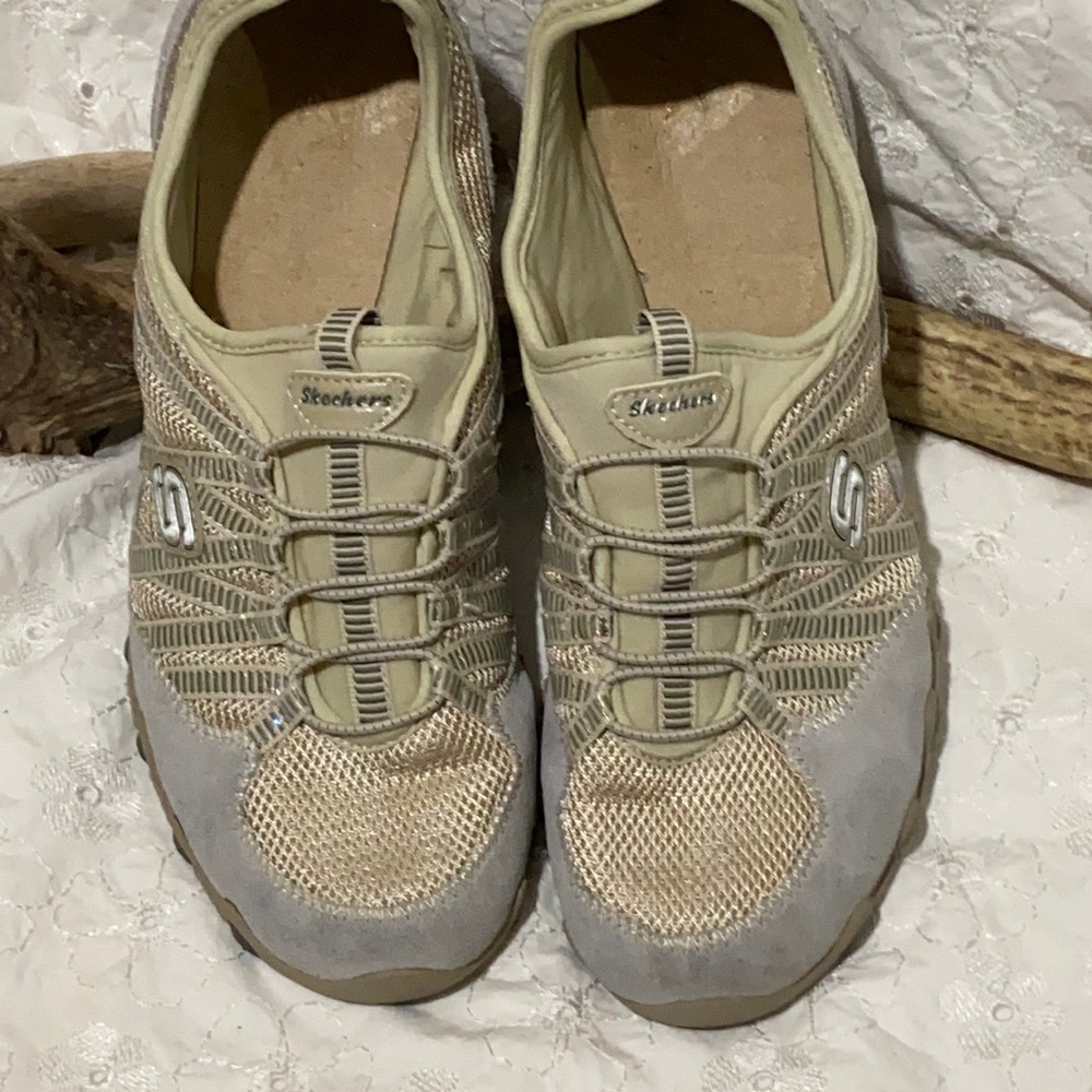 Sketchers Slip on Waling Shoes